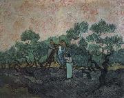 Vincent Van Gogh the olive pickers,saint remy,1889 oil painting picture wholesale